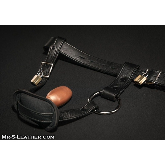 Deluxe Locking ButtPlug Harness Mr-S-Leather 21883