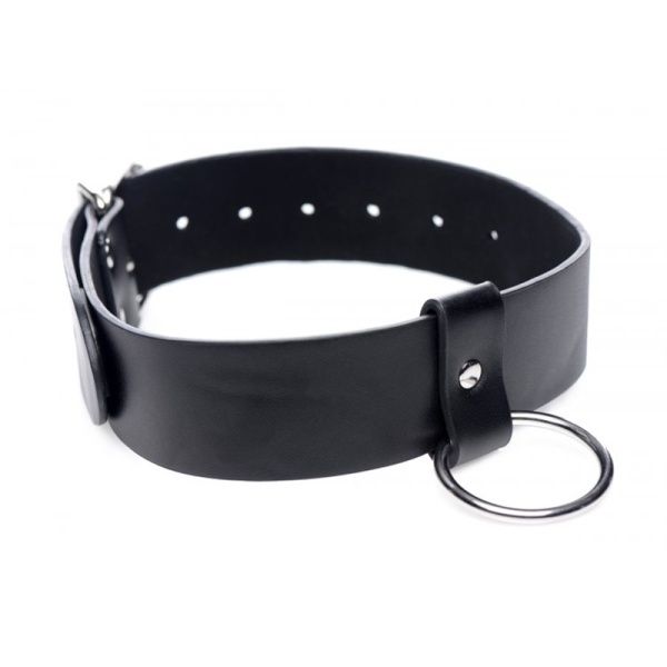Wide Leather Collar Xr Brands 30905