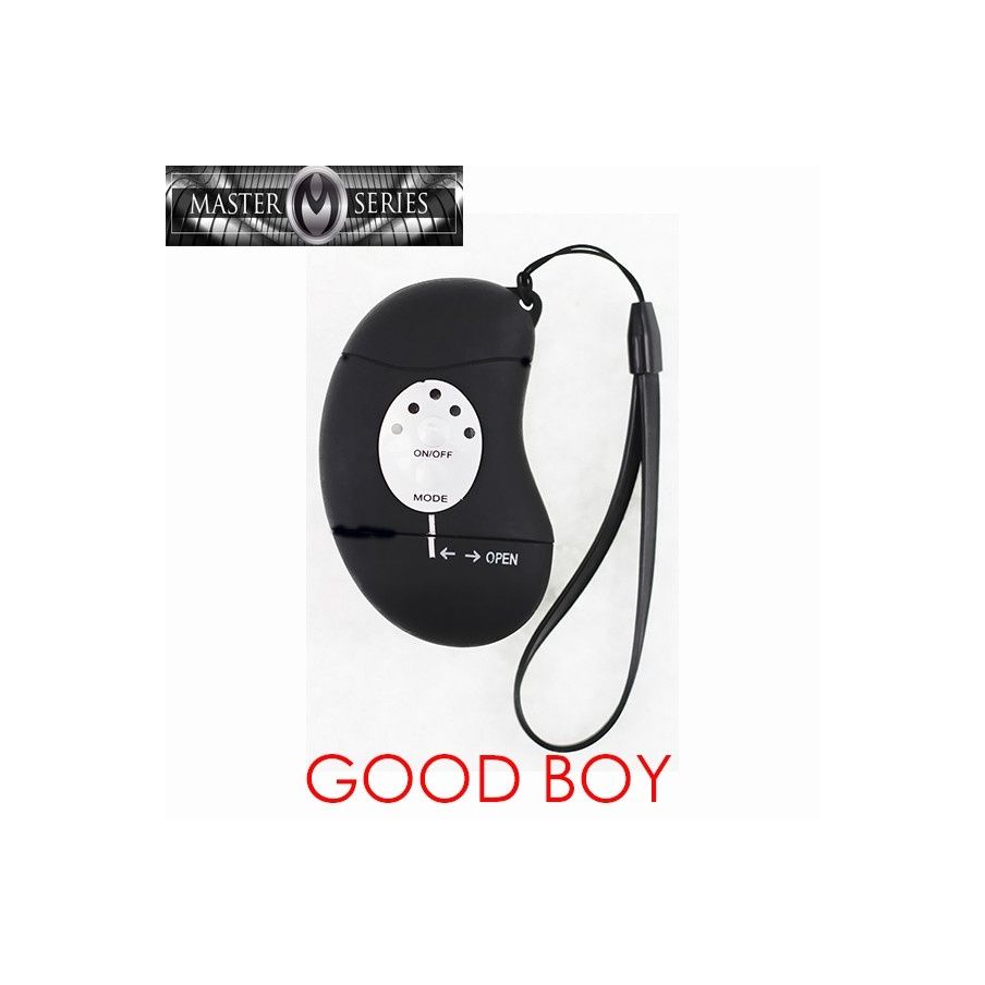 Good Boy Wireless Vibrating Remote Puppy Plug Master Series 4009